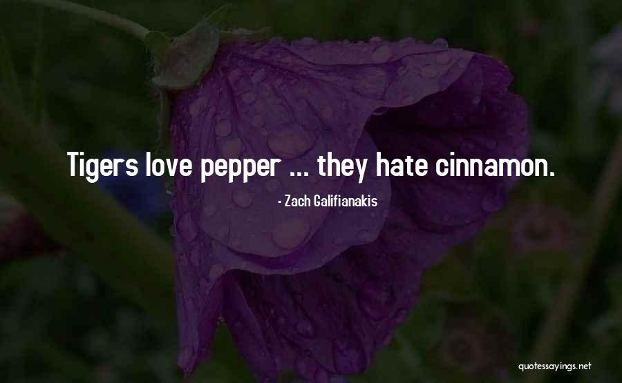 Hangover Galifianakis Quotes By Zach Galifianakis Hangover Galifianakis Quotes By Zach Galifianakis
