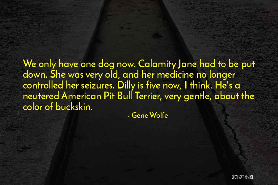 Hanhan Wu Quotes By Gene Wolfe Hanhan Wu Quotes By Gene Wolfe