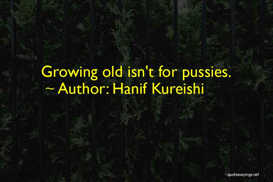 Hanif Kureishi Quotes 618116