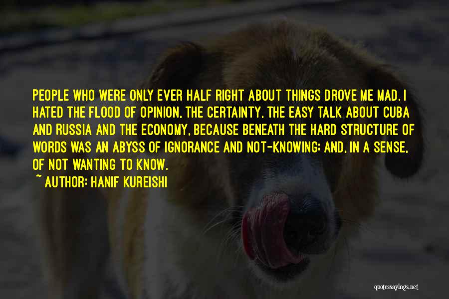 Hanif Kureishi Quotes 803164