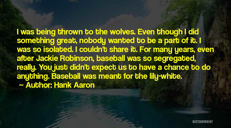 Hank Aaron Quotes 1524598