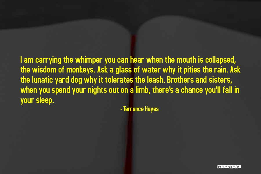 Hank Macdougall Quotes By Terrance Hayes Hank Macdougall Quotes By Terrance Hayes
