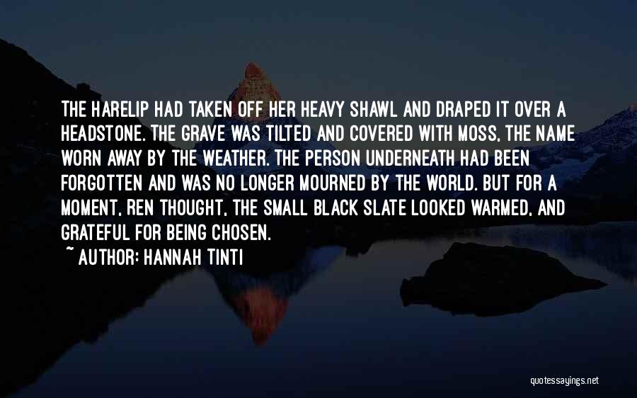 Hannah Tinti Quotes 670741