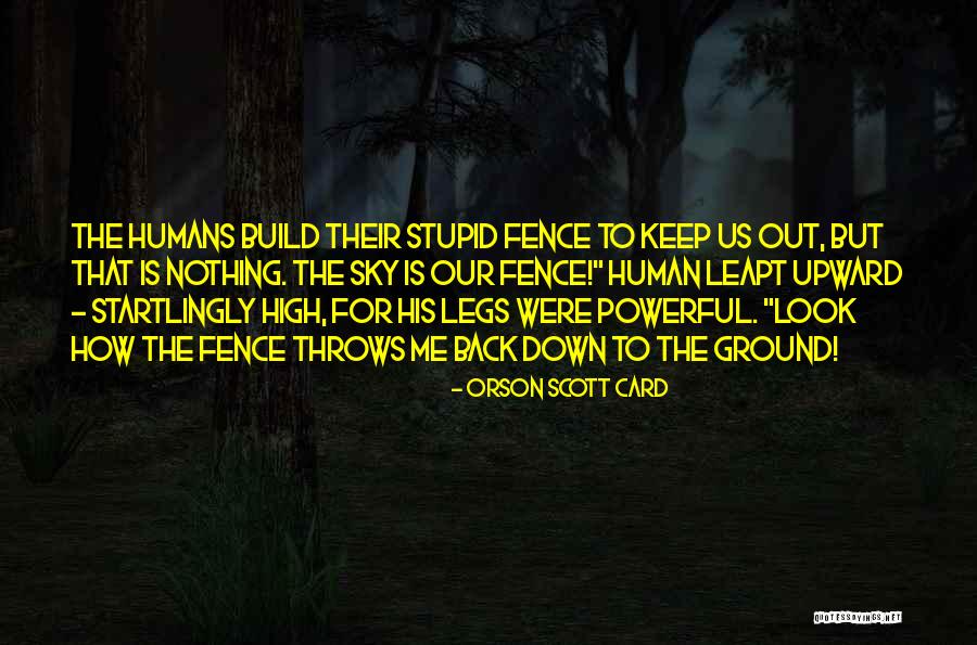 Hannia Hafeez Quotes By Orson Scott Card Hannia Hafeez Quotes By Orson Scott Card
