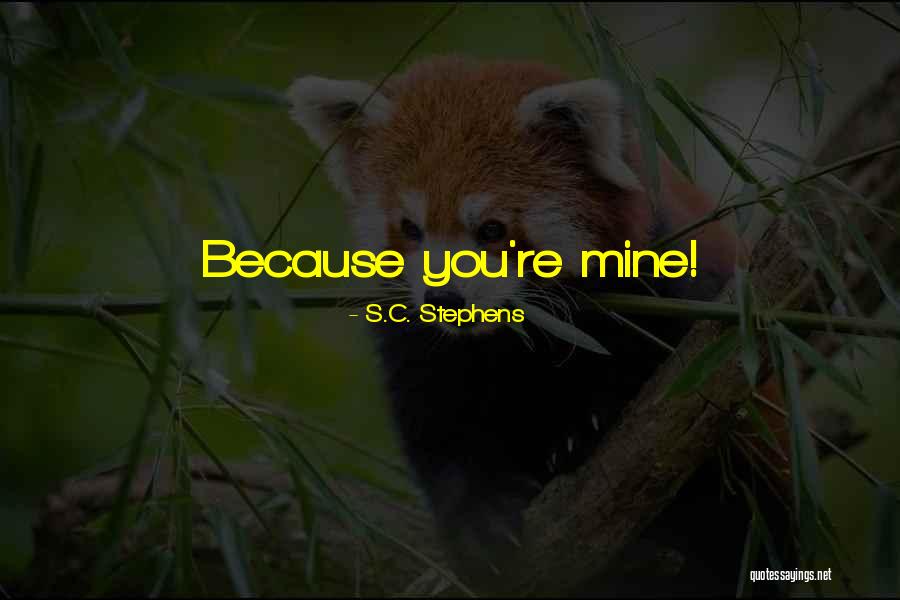 Hannink Equine Quotes By S.C. Stephens Hannink Equine Quotes By S.C. Stephens