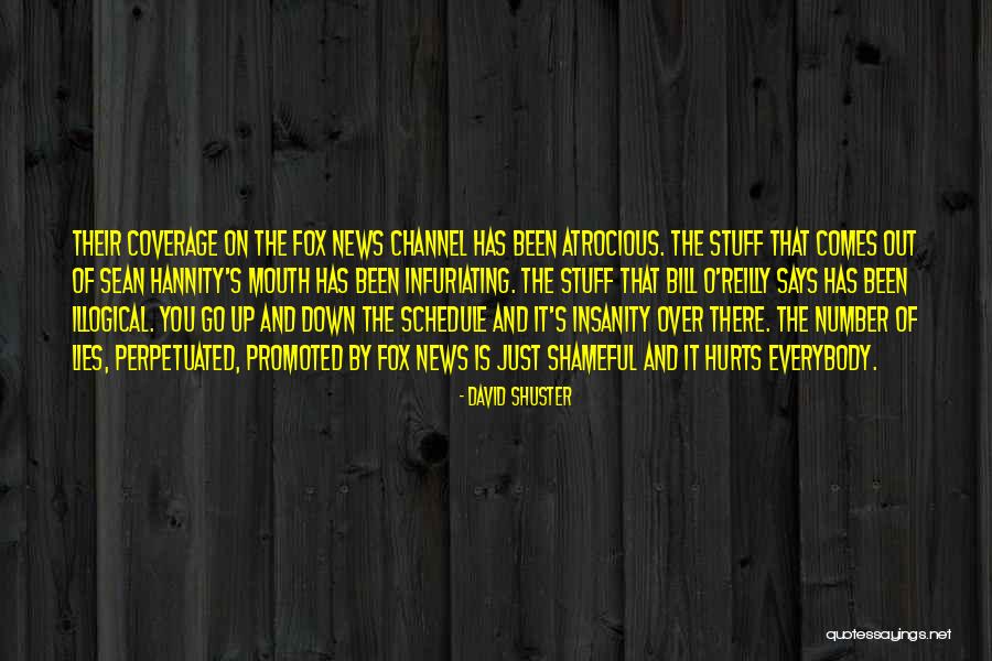 Hannity Fox Quotes By David Shuster Hannity Fox Quotes By David Shuster