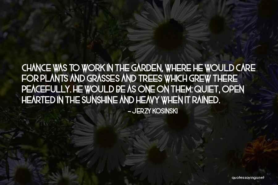 Hannula Todd Quotes By Jerzy Kosinski Hannula Todd Quotes By Jerzy Kosinski