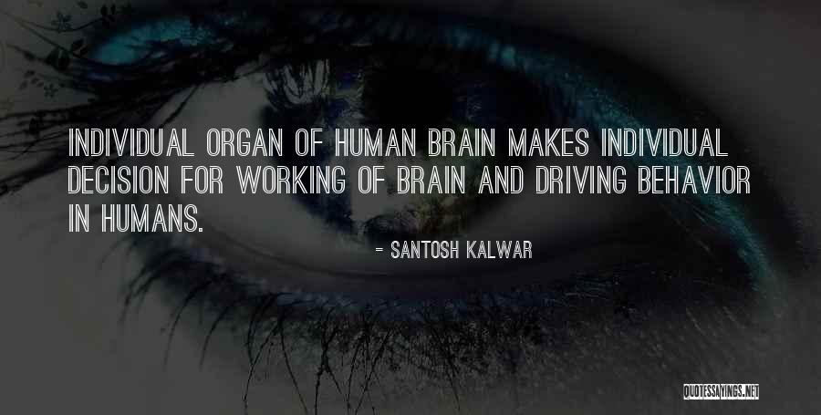 Hanos Delft Quotes By Santosh Kalwar Hanos Delft Quotes By Santosh Kalwar