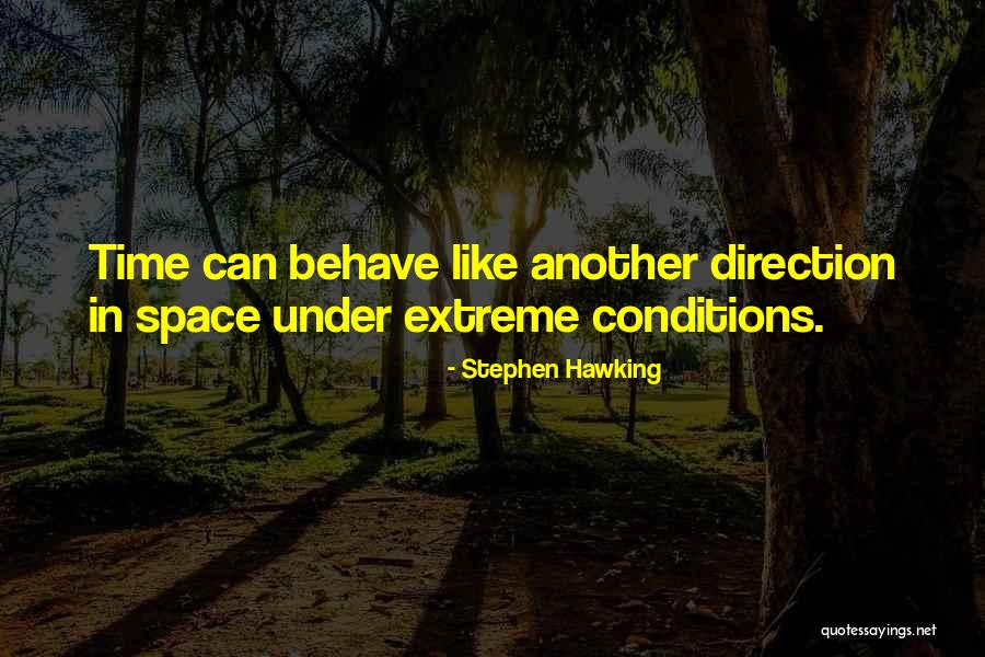 Hanoverian Hound Quotes By Stephen Hawking Hanoverian Hound Quotes By Stephen Hawking
