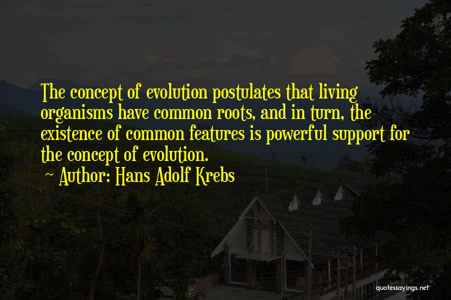 Hans Adolf Krebs Quotes 507293