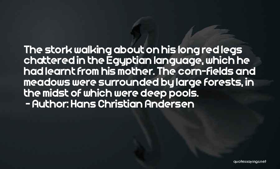 Hans Christian Andersen Quotes 1891817