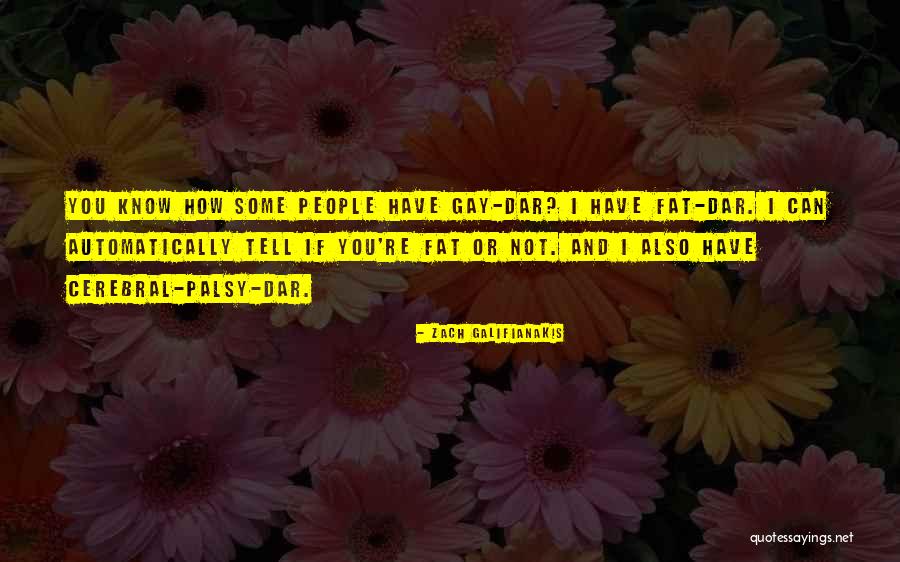 Hansali Baba Quotes By Zach Galifianakis Hansali Baba Quotes By Zach Galifianakis