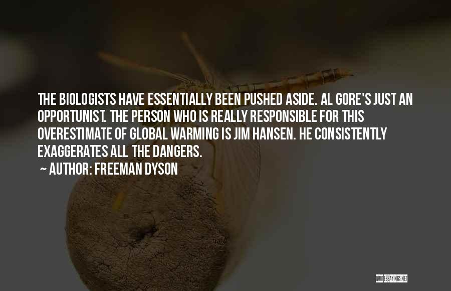 Hansen Quotes By Freeman Dyson