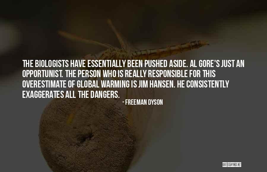 Hansen Quotes By Freeman Dyson