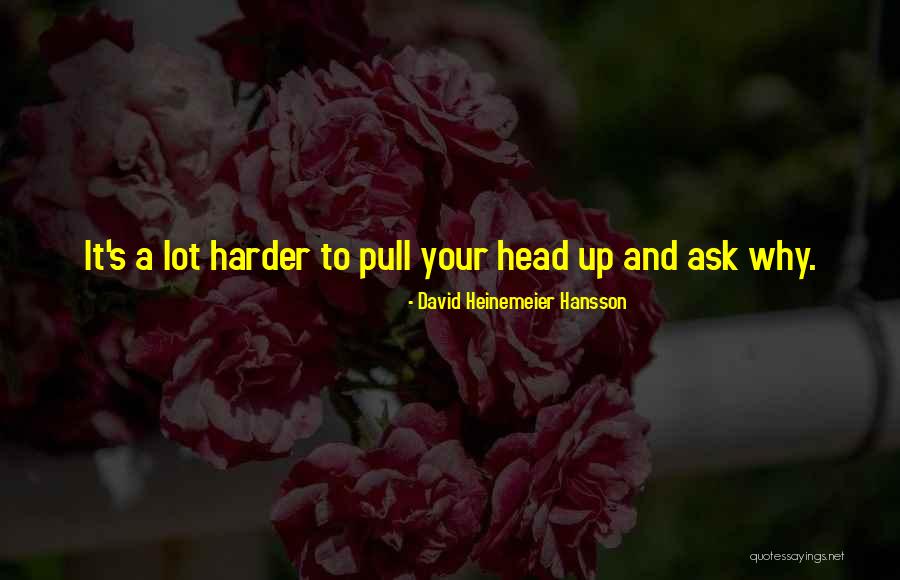 Hansson Quotes By David Heinemeier Hansson Hansson Quotes By David Heinemeier Hansson