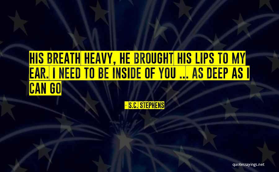 Hanukkah Lights Quotes By S.C. Stephens Hanukkah Lights Quotes By S.C. Stephens