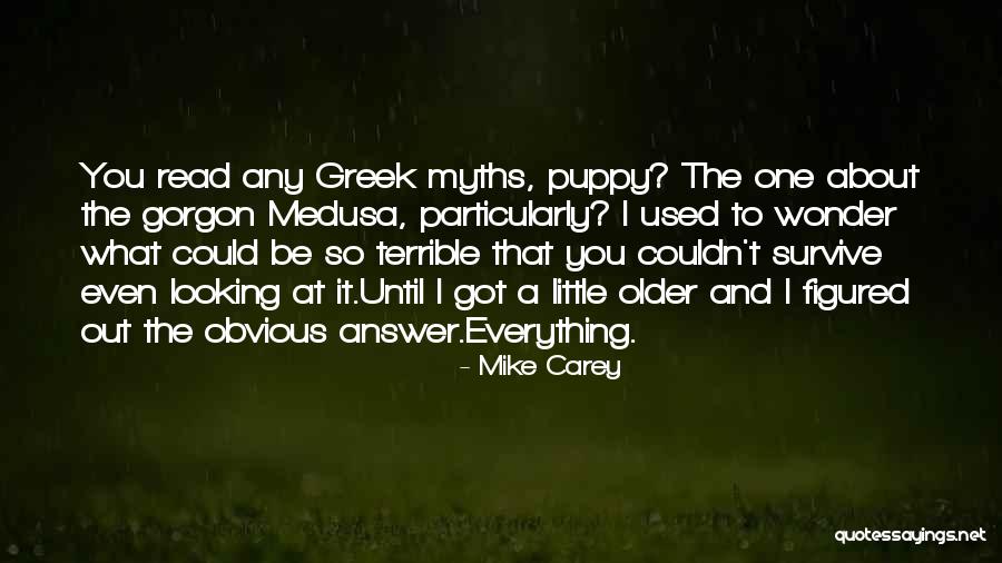 Hanuman Memorable Quotes By Mike Carey Hanuman Memorable Quotes By Mike Carey