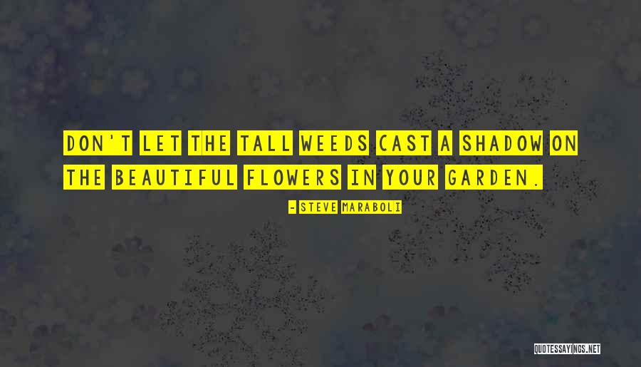 Haolam American Quotes By Steve Maraboli Haolam American Quotes By Steve Maraboli