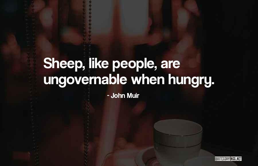 Haoles Go Home Quotes By John Muir Haoles Go Home Quotes By John Muir