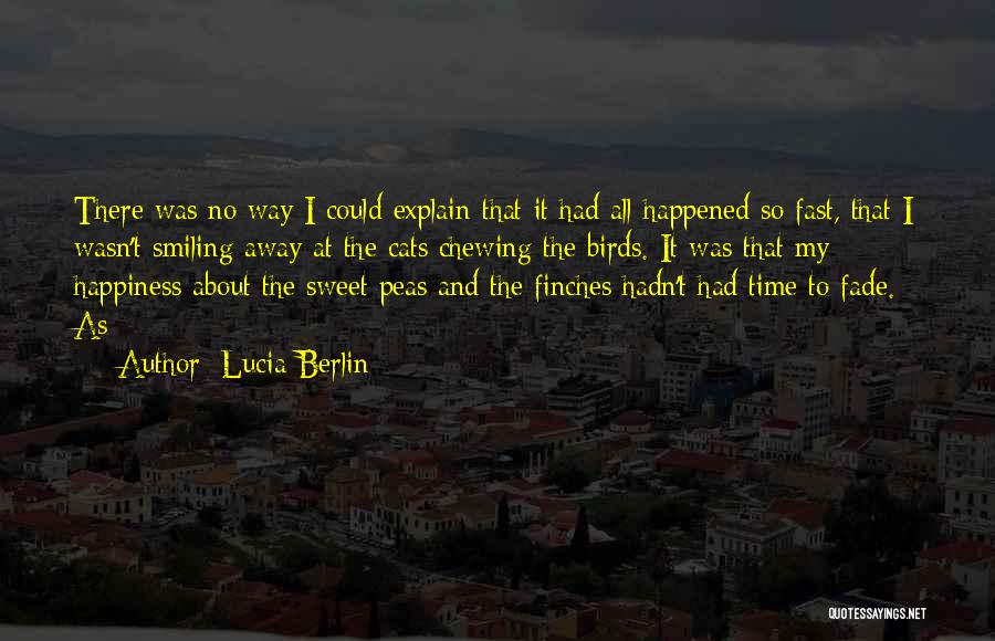 Happened So Fast Quotes By Lucia Berlin