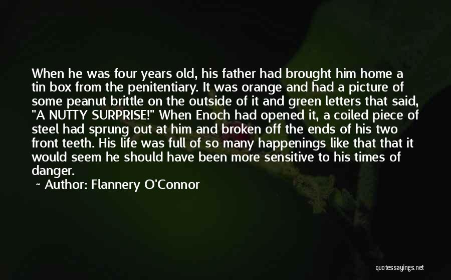Happenings Quotes By Flannery O'Connor