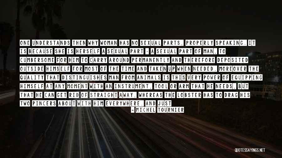 Happenstance Approach Quotes By Michel Tournier Happenstance Approach Quotes By Michel Tournier