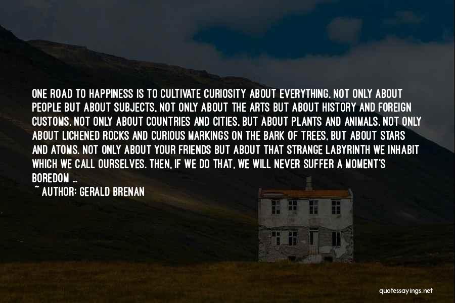 Happiness About Friends Quotes By Gerald Brenan