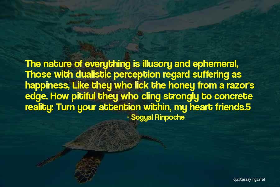 Happiness And Best Friends Quotes By Sogyal Rinpoche