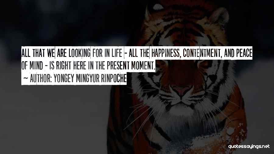 Happiness And Contentment In Life Quotes By Yongey Mingyur Rinpoche