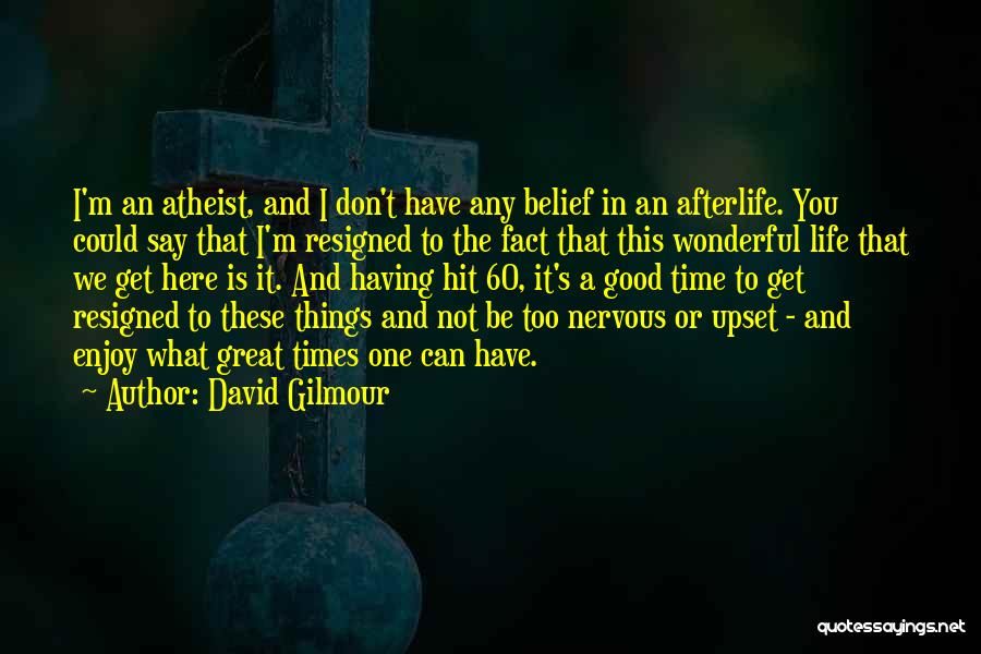 Happiness And Life Is Good Quotes By David Gilmour