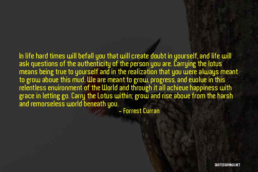 Happiness And Life Quotes By Forrest Curran