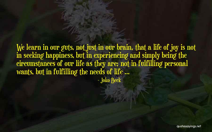 Happiness And Life Quotes By Joko Beck