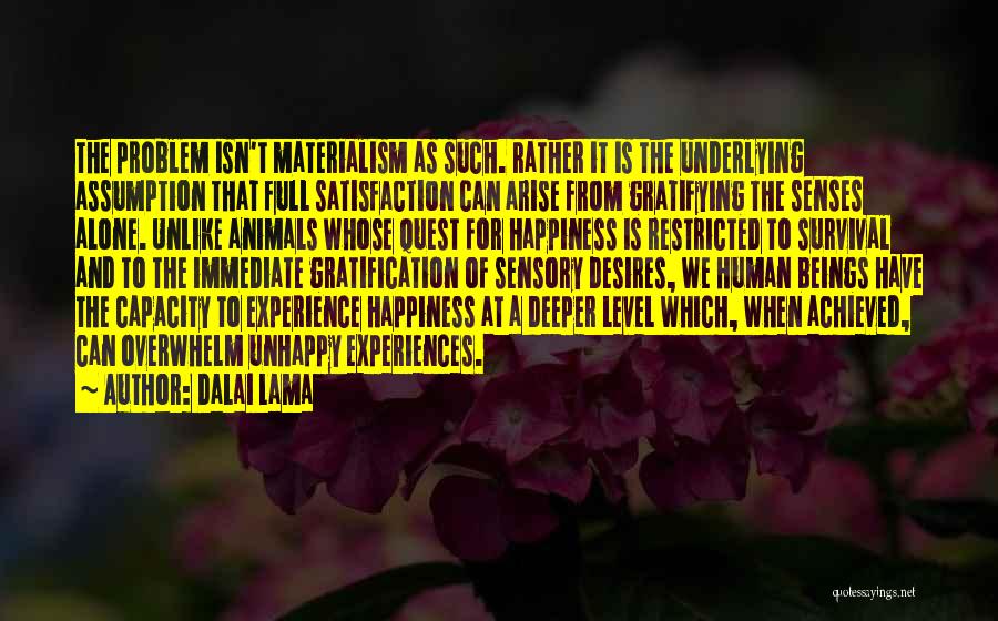 Happiness And Materialism Quotes By Dalai Lama