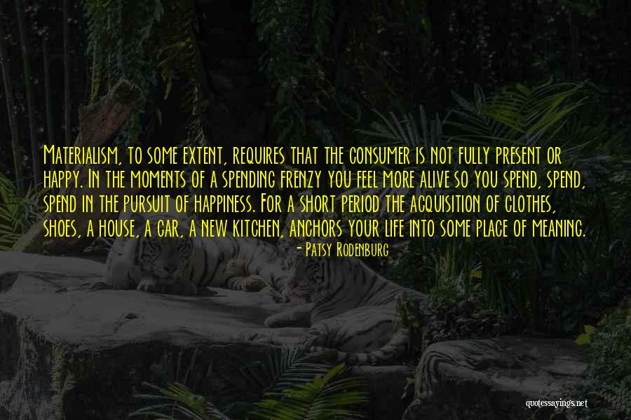 Happiness And Materialism Quotes By Patsy Rodenburg