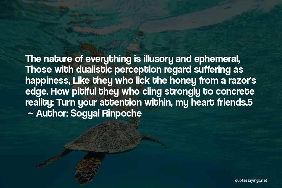 Happiness And Nature Quotes By Sogyal Rinpoche