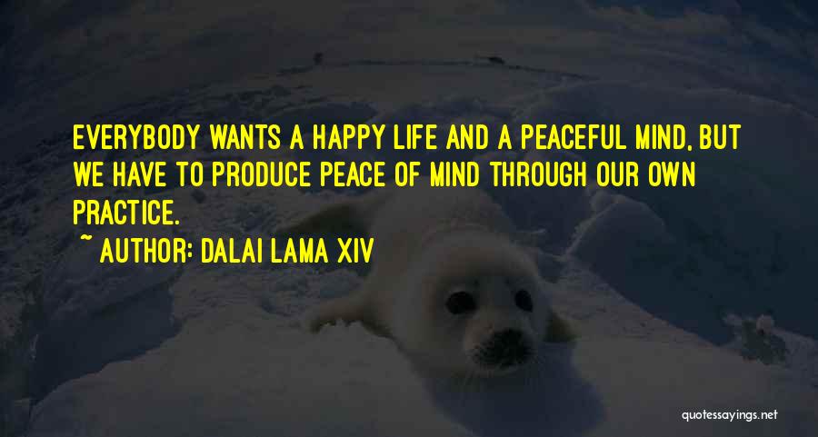 Happiness And Peace Of Mind Quotes By Dalai Lama XIV