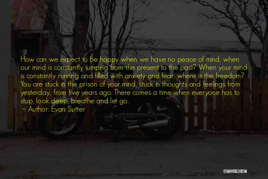 Happiness And Peace Of Mind Quotes By Evan Sutter