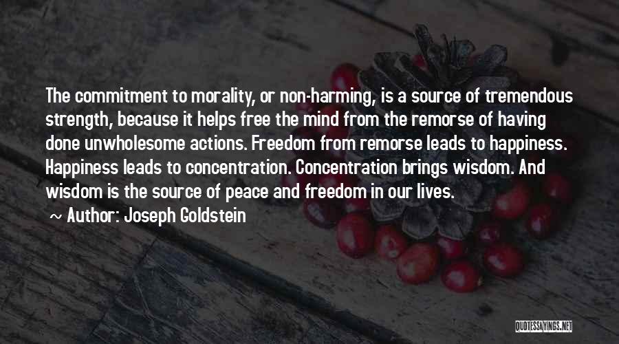 Happiness And Peace Of Mind Quotes By Joseph Goldstein