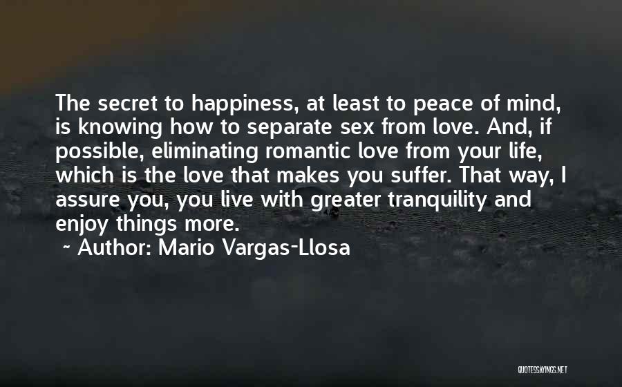 Happiness And Peace Of Mind Quotes By Mario Vargas-Llosa