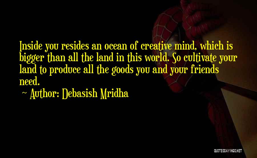 Happiness And The Ocean Quotes By Debasish Mridha