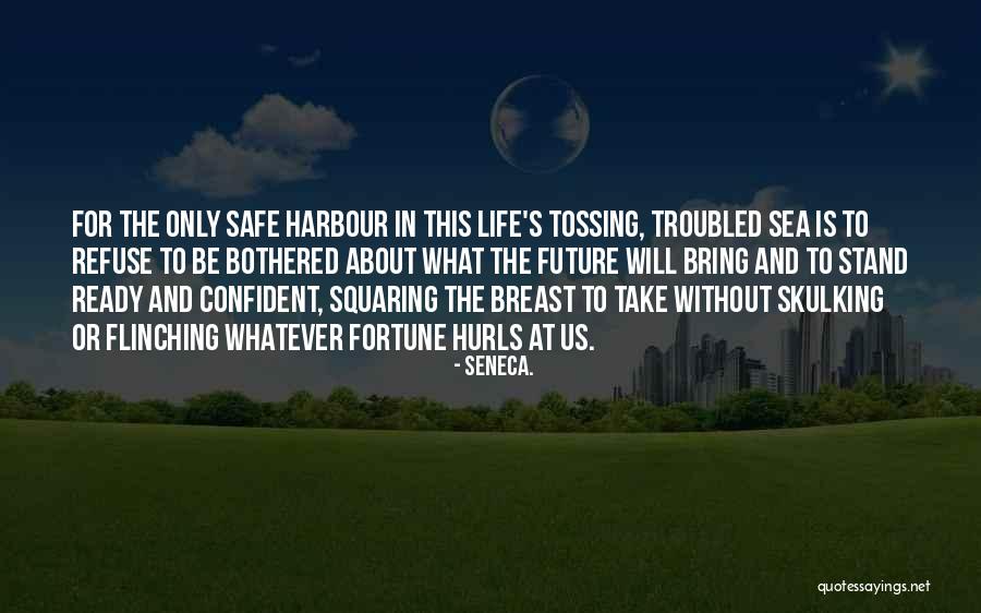 Happiness And The Sea Quotes By Seneca.