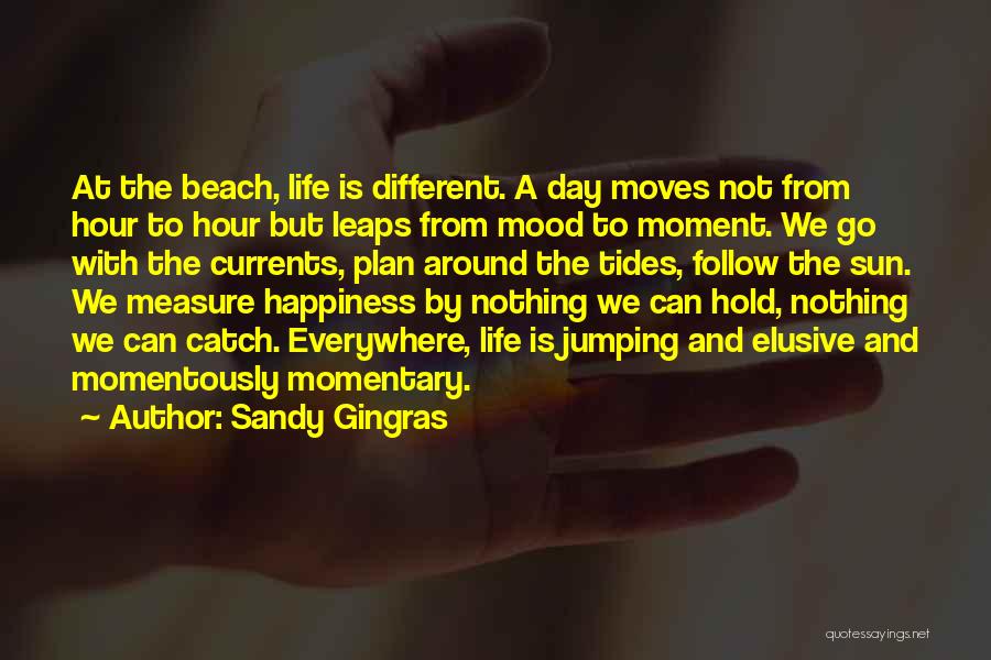 Happiness And The Sun Quotes By Sandy Gingras