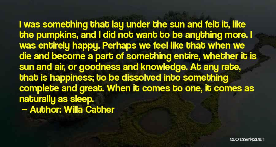 Happiness And The Sun Quotes By Willa Cather