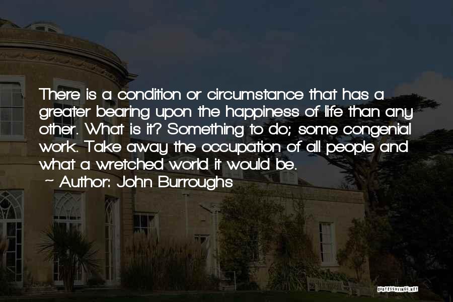 Happiness And Work Quotes By John Burroughs