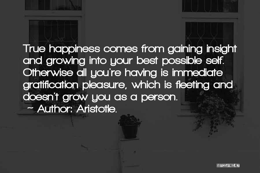 Happiness Aristotle Quotes By Aristotle.