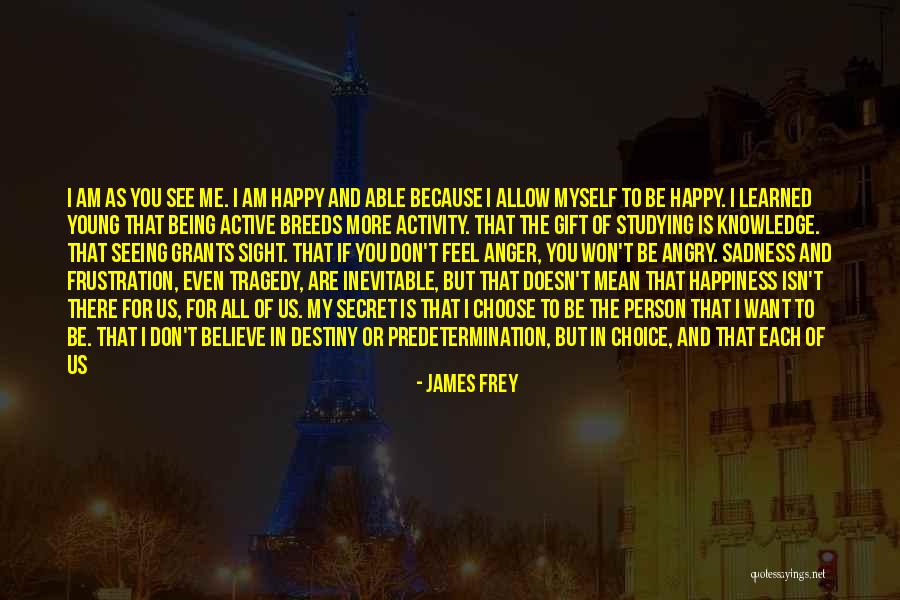 Happiness Being A Choice Quotes By James Frey