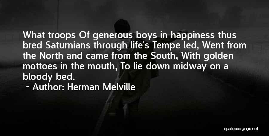 Happiness Came Quotes By Herman Melville