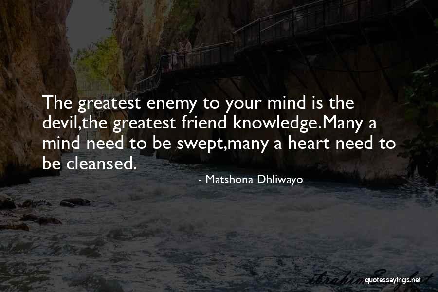 Happiness Chemicals Quotes By Matshona Dhliwayo