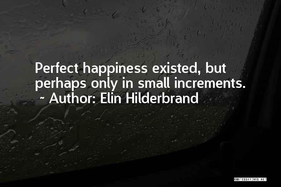 Happiness Comes From Small Things Quotes By Elin Hilderbrand