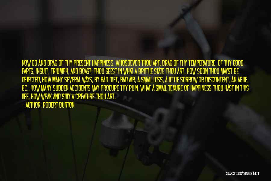Happiness Comes From Small Things Quotes By Robert Burton Happiness Comes From Small Things Quotes By Robert Burton